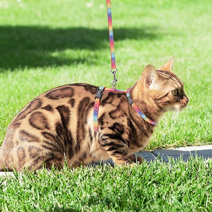 PAWCHIE Cat Harness with Leash and Collar Set - Escape Proof Adjustable Glow in The Dark Cat Harness for Kitty Outdoor Walking Multicolor