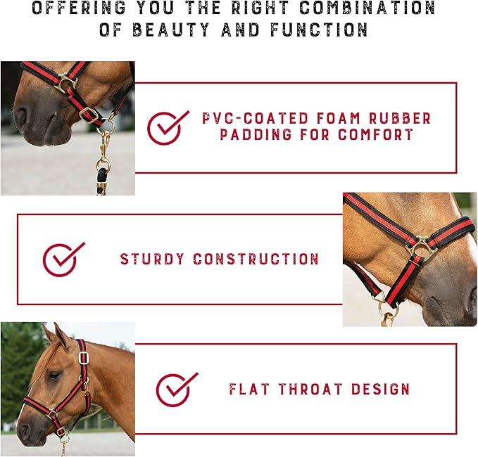 Weaver Leather Nylon Horse Halter, Padded and Adjustable, Chin and Throat Snap Hook Halters for Horses, Brass Plated Halters for Training