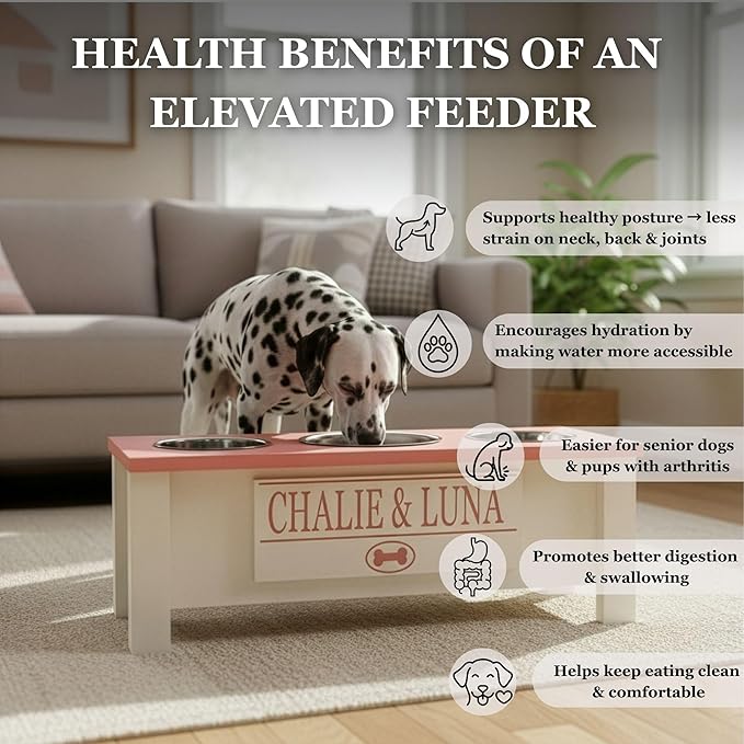 GrooveThis Woodshop - Personalized Elevated Triple Dog Bowl Stand for Large, Medium, Small, X-Small Dogs - 3 Stainless Steel Food and Water Bowls - Raised Dog Dish with Internal Storage (Small, Black)