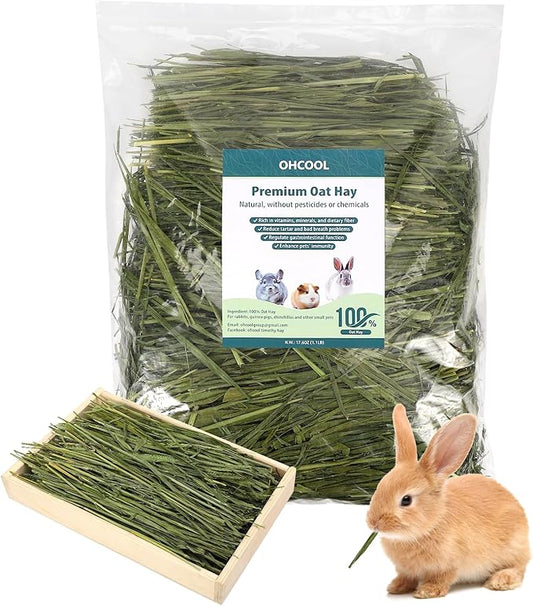 Premium Oat Hay for Pets - Dust Free Natural Green Fresh Pet Food Hay for Rabbits, Guinea Pigs, Chinchillas, Hamsters & Gerbils - 2.2lbs (2 packs of 1.1lbs）