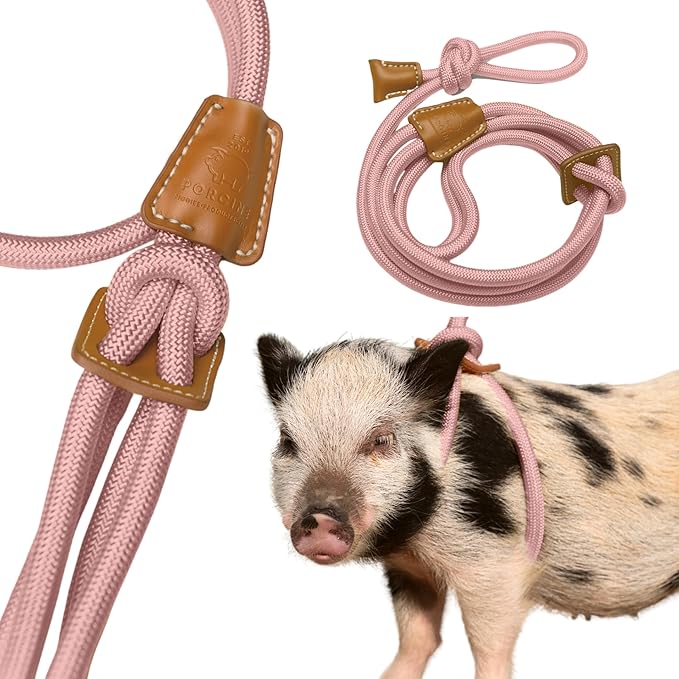 PORCINE® Mini Pig Harness & Leash – Fully Adjustable Step-in Harness with Infinity-Style Lead - Ideal for Small & Medium Potbelly Pigs – Durable, Comfortable, Easy-On Easy-Off (Small Mauve Pink)