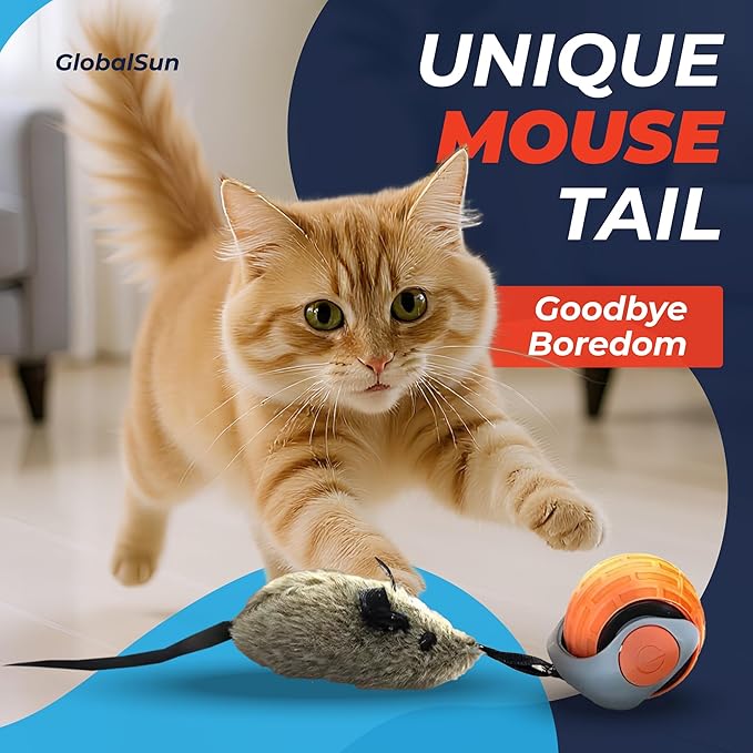 Motion Activated Self-Moving Cat Toy Ball – GlobalSun Speedy Tail 2.0 Automatic Rolling Ball Cat Toy with Mouse & Feather Tails, USB Rechargeable Interactive Toy for Indoor Cats