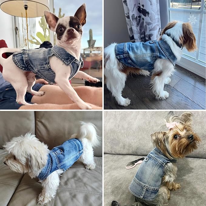 Puppy Clothes for Small Dogs Boy,Classic Western Denim Dog Coat,Dog Jeans Jacket with Leash D-Ring,Pet Cat Costumes,Cooling Harness Vest for Walking (Blue, X-Large)