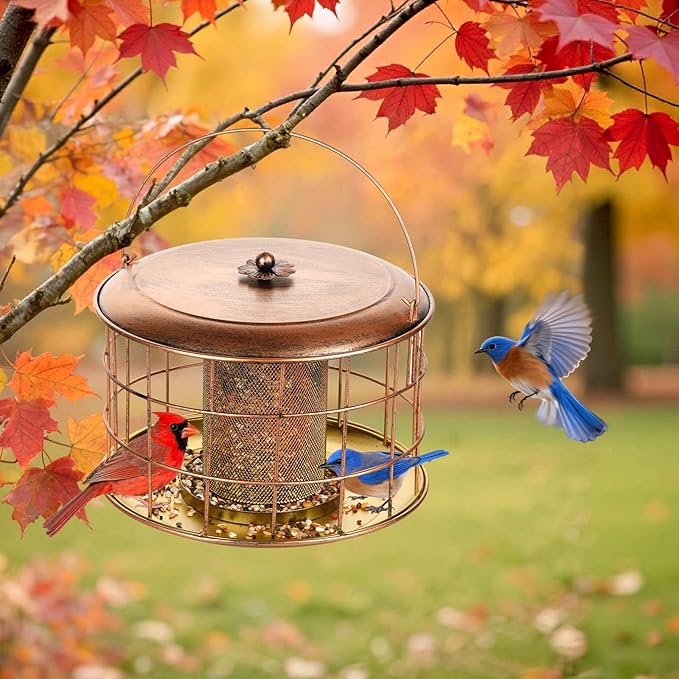 Metal Caged Bird Feeder, Squirrel Proof Bird Feeders for Outdoors Hanging, Wild Bird Feeder for for Small Birds, Squirrel Chew & Weather Resistant, Backyard Gift, Easy to Refill & Clean, 2Lbs