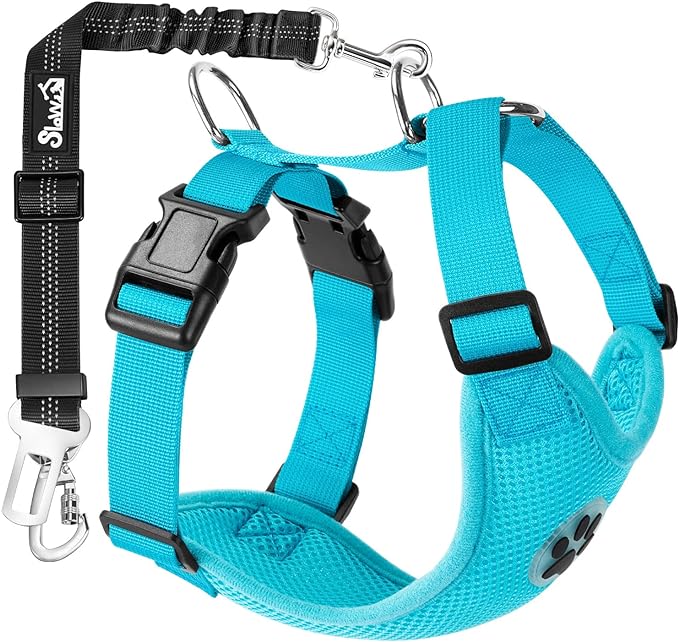 SlowTon Dog Seat Belt Harness for Car, Dog Car Harness Adjustable Mesh Breathable & Dog Seatbelt Safety Tether with Elastic Bungee for Small Medium Large Pets(Light Blue, Double Clip, M)
