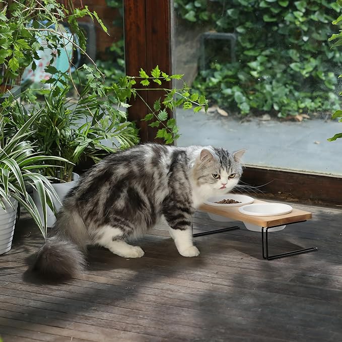 FUKUMARU Elevated Cat Ceramic Bowls, Small Dog Raised Food Feeding Dishes, Solid Wood Water Stand Feeder Set for Cats and Puppy