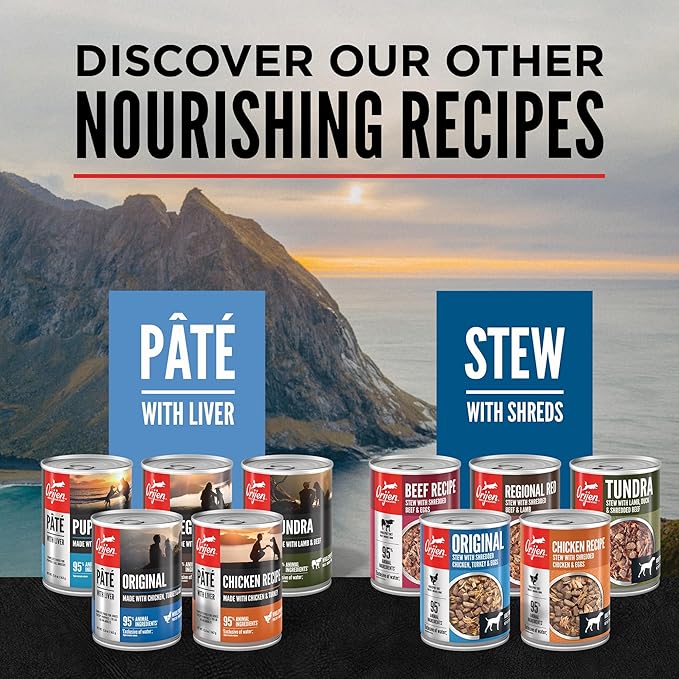 ORIJEN Real Meat Shreds Wet Dog Food Original Stew Recipe 12.8oz Cans (12 Count)