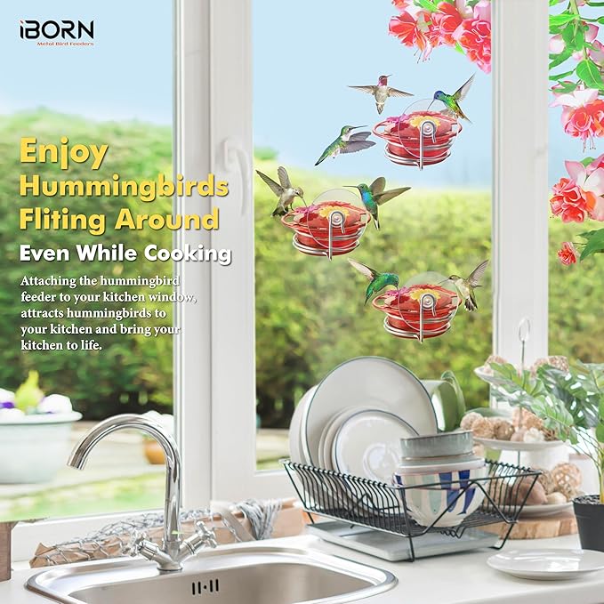 iBorn Window Hummingbird Feeder Mini Hummingbird Feeders for Outdoors, 3OZ Humming Bird Feeder with Strong Suction Cup, 3 Feeding Ports & Stainless Steel Base, 3 Set