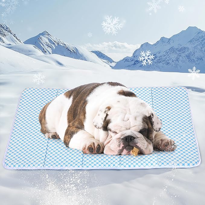 Dog Cooling Mat for Medium Dogs - 30x20 Orthopedic Memory Foam Pet Pad for Summer, QMAX>0.5, Washable Premium Comfort Crate Pad for Your Furry Companion, Blue