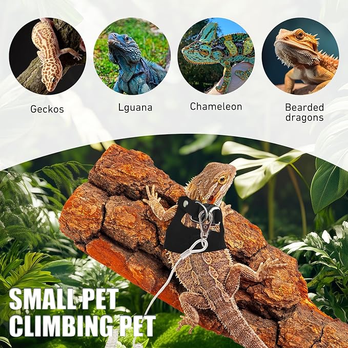 Bearded Dragon Leash and Harness Set, 3 Size Adjustable Soft Leather Lizard Leash Training Walking Prevent Escape, Spring Can be Stretched to 3m, for Iguana Squirrels Small Reptiles Outdoors (Black)