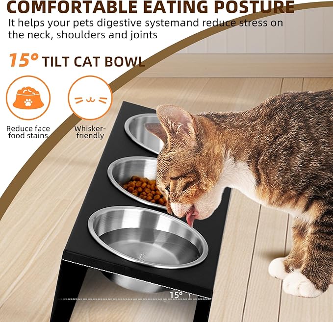 Elevated Cat Food Bowl,15°Tilted Stand Anti Vomiting Raised Cat Dishes for Food and Water,3 Stainless Steel Bowls,Non-Slip No Spill,Cats and Puppy