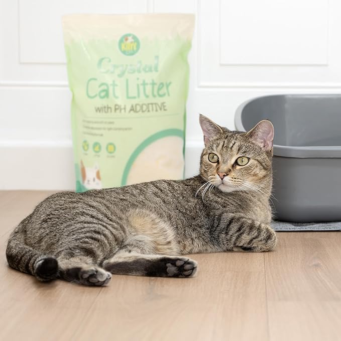 Kitty City PH Crystals Cat Litter 6LB