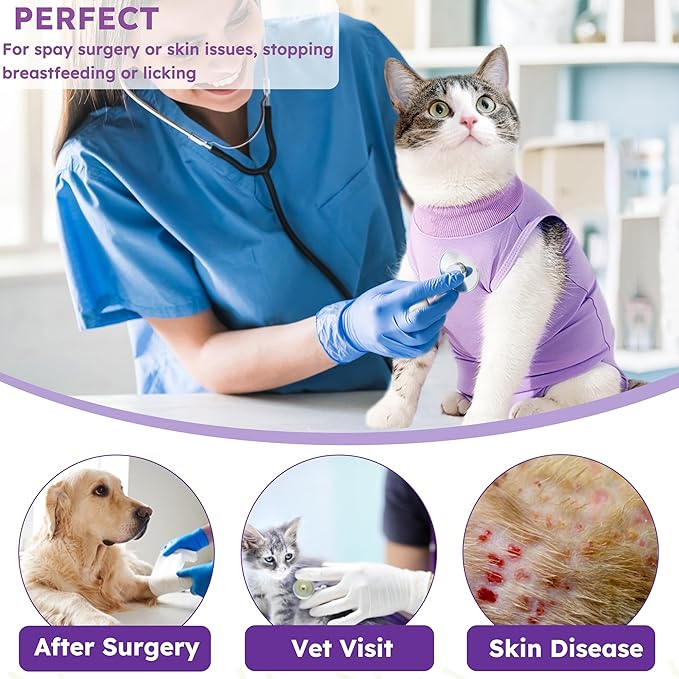 Cat Recovery Suit for Abdominal Wounds or Skin Diseases,Kitten Onesie for Cats After Surgery Wear Surgical Spay Suit for Female Cats Kitten Cone of Shame Alternative-Purple(S)