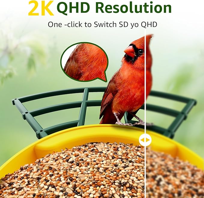 PeckCam® Smart Bird Feeder with Camera 2K HD Auto Detect & Notify, AI Identify 10000+ Birds Camera with Solar Panel 5 Perch Attachments Wireless Outdoor Birdwatching Gift for Birds Lover, Yellow