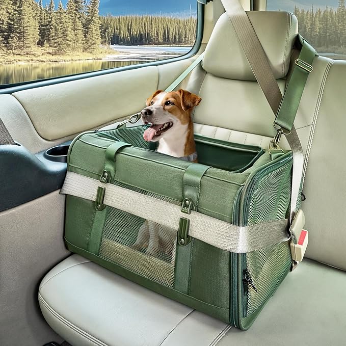 Petsfit 19x12x12 Pet Carrier for Large Cats (up to 20 lbs), Soft-Sided Small Dog Travel Carrier, Upgraded with Patented Buckle and Soft Padding, Ideal for Car Road Trips Green