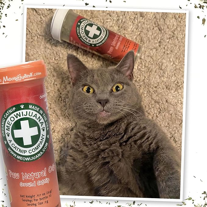 Meowijuana Purrple Passion Cat Nip - Premium Organic Blend of Catnip for Cats & Silvervine, Stimulates Playful Behavior, 26g, Natural Wellness Gift for Cat Lovers
