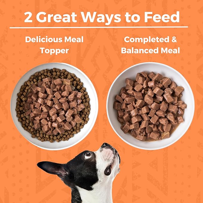 KOHA Minimal Ingredient Chicken Stew for Dogs, High Protein Limited Ingredient Dog Food, 12.7oz Cans (Case of 12)