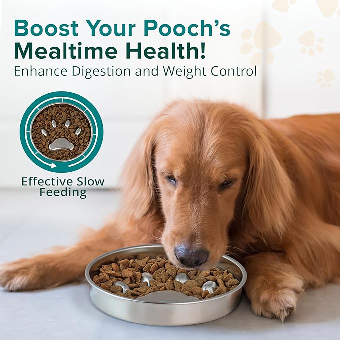 BarkNGo Slow Feeder Dog Bowls & Dog Water Bowl, Stainless Steel Pet Bowls for Dry, Wet & Raw Food, Non-Slip, Durable & Dishwasher Safe, Small Puppies to Large Dogs