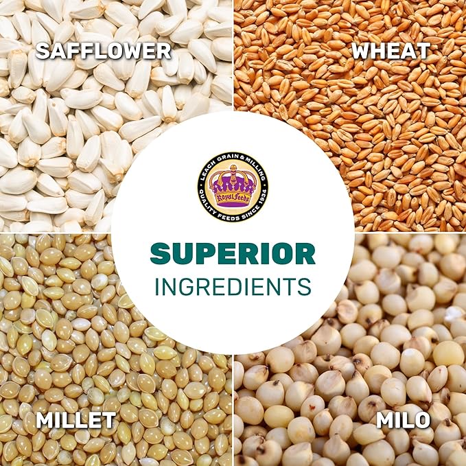 Dove Mix 25 Lbs, Dove Food, Premium Dove Bird Seed, Nut Free Mix Feed for Dove, Nutrient-Rich Mixed Birdseeds, Supports Daily Energy Growth & Healthy Balanced Diet, Bird Seed for Outside Feeders