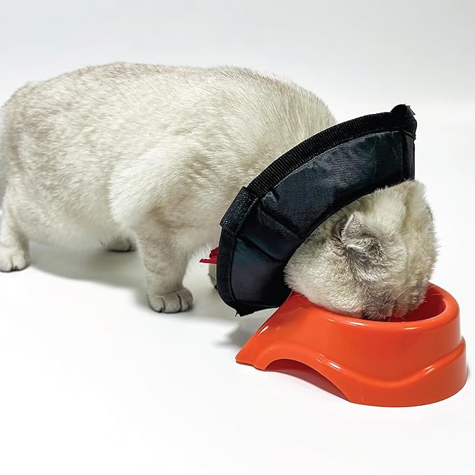 Cat Cone Collar - Soft Adjustable Cat Elizabethan Healing Collar – Lightweight Wound‑Protection Neck Cone for Licking/Biting Prevention, Fits Neck 6.5″–10.5″, Ideal Post‑Surgery & Injury Care