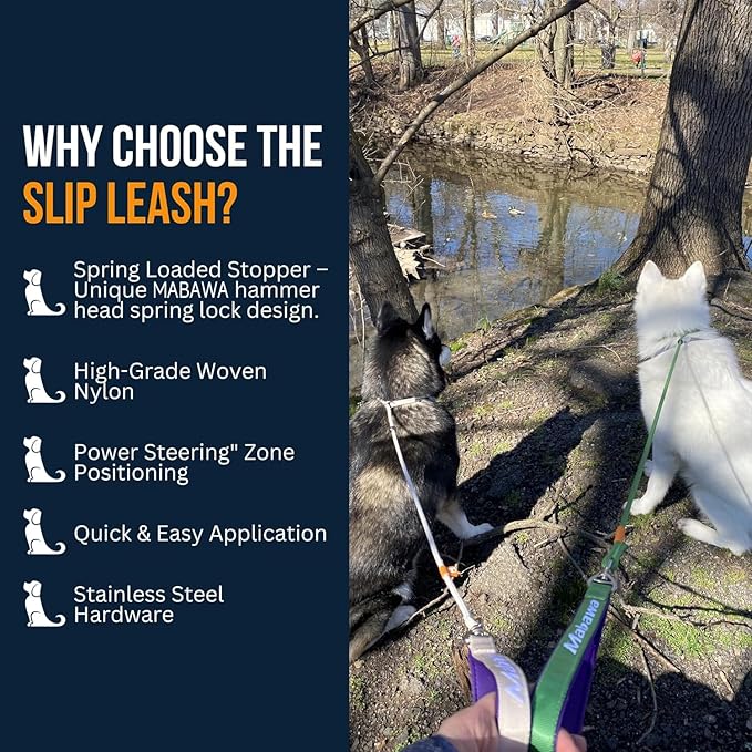 Dog Anti-Slip Leash 5FT with Metal Stopper - Durable No-Pull Training Lead for Small, Medium & Large Dogs - Comfortable Handle Nylon Rope, Tangle-Free Pet Walking Leash (Green, 5 FT)