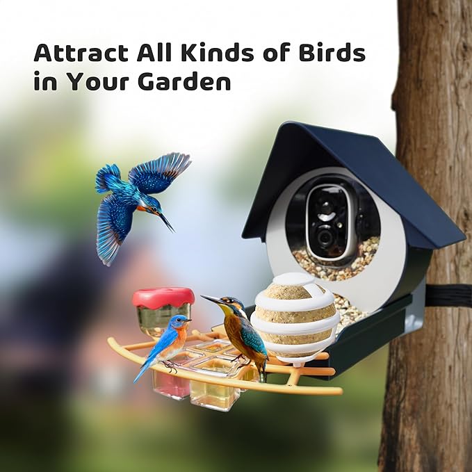 Birdkiss Smart Camera Bird Feeder with Solar Pannel, DIY Different Add-Ones Including Seed Guard, Suet Ball, Jelly Feeder, Mini Hummingbird Feeder, AI Identify, Ideal Gifts for Women, Deep Blue