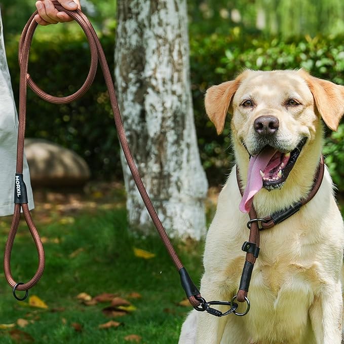 Rope Dog Leash, 6 Foot Heavy Duty Dog Leash with Aviation Aluminum Auto Locking Carabiner, Strong Nylon Pet Lead for Small, Medium, Large Dogs (Black, 6FT)