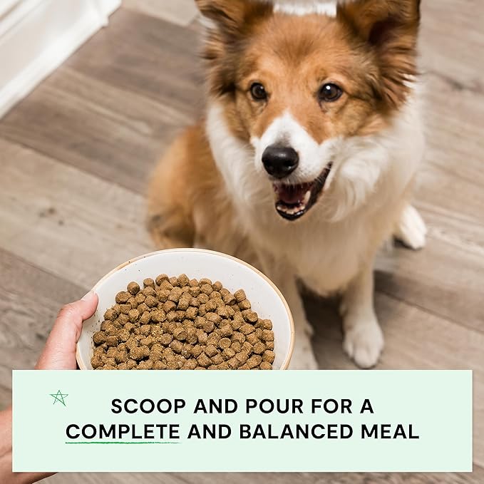 Open Farm, Grain-Free Dry Dog Food, Complete & Balanced Kibble, Sustainably & Ethically Sourced Ingredients, Non-GMO Veggies & Superfoods to Support Overall Health, Grass-Fed Beef Recipe, 11lb Bag