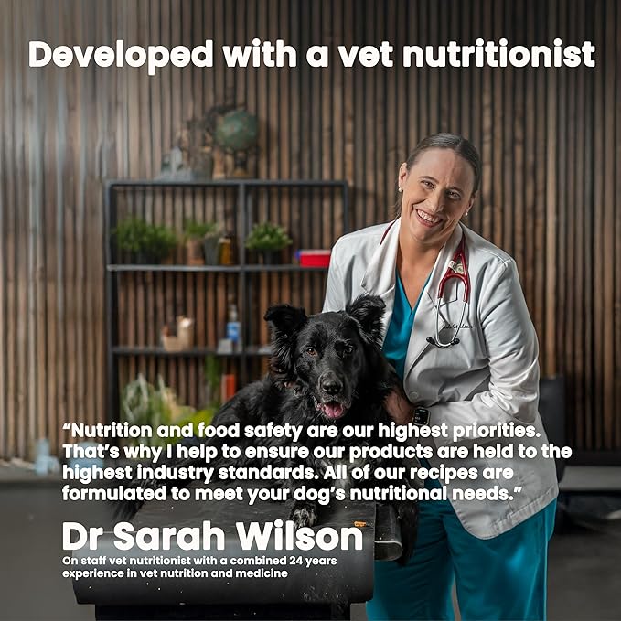 The Pets Table Beef & Berries Grain-Free Air Dried Dog Food, 1 lb (16 Oz) Bag