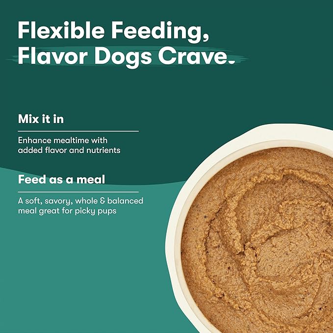 Jinx Premium Wet Dog Food Cans - Salmon Pate - Grain-Free Canned Dog Food Pate & Topper with Real Ingredients & No Fillers - All Life Stages, Breeds & Sizes - 12-Pack, 13 Oz