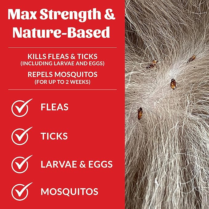 Skout's Honor Flea and Tick Shampoo for Dogs - Natural Peppermint & Cedarwood Formula, Helps to Protect from and Against Fleas, Ticks, and Mosquitos, 16 oz