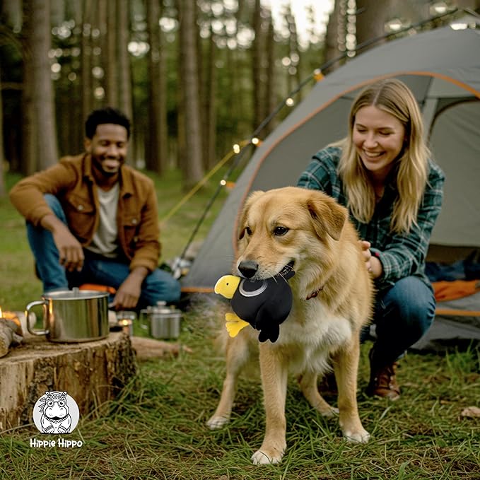 Squeaky Dog Toys for Small Dogs - Black Crow Plush Dog Toy - Soft Stuffed Animal for Dog Toys Puppy with Squeaky Sound to Keep Them Busy, Safe Plush Dog Toy for Interactive Play - 6.5"