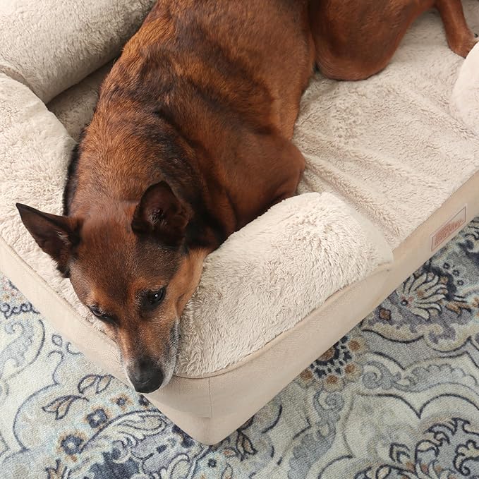 TOWN & COUNTRY EVERYDAY CuddleTown Comfy Solid Bolster Sofa Pet Bed, Supportive & Calming Egg Crate Foam, Non-Slip Bottom, Machine Washable Cover, Beige, Large 35"x25"x8"