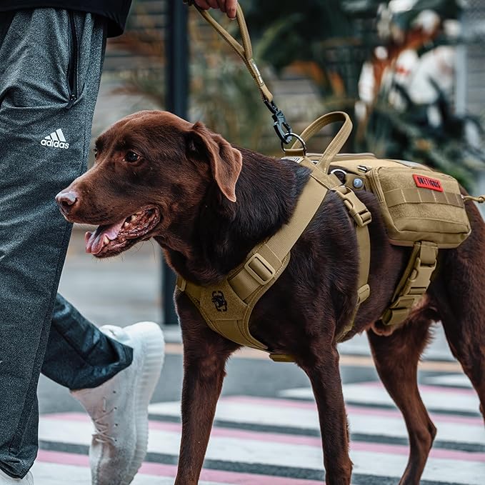 OneTigris Service Dog Vest Harness, Service Dog Cape Guardian Dog Backpack Harness with Pouches Dog Saddle Bag for Small Medium and Large Dogs (Brown, Small)