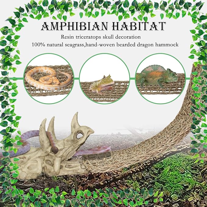 PINVNBY Reptile Dinosaur Skull Decor,Bearded Dragon Tank Accessories,Reptiles Resin Triceratops Skull Cave Lizard Hammock Amphibians Habitat Hideouts Decorations for Lizards Spider Gecko Chameleon