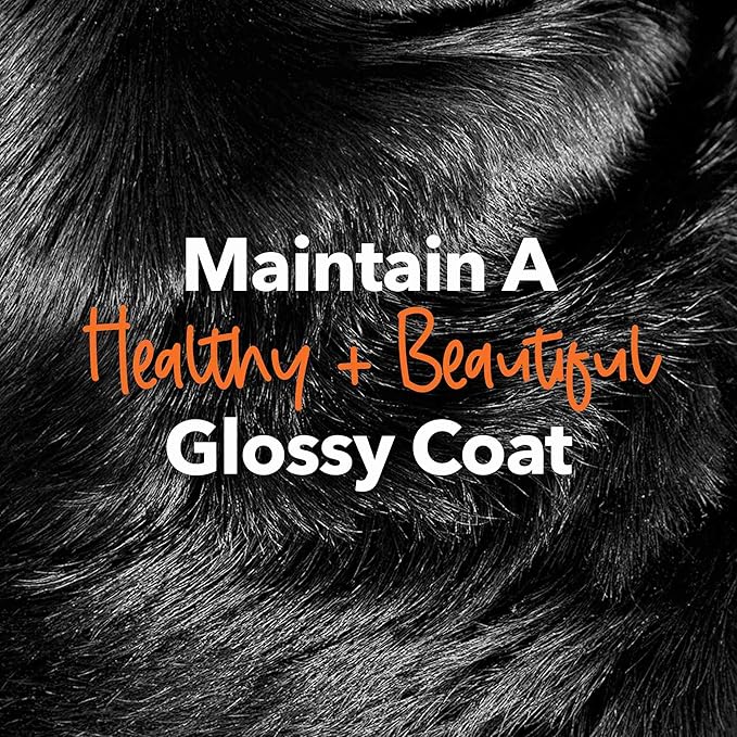 iHeartDogs Salmon Oil for Dogs and Cats - Nourishing Skin & Coat Omega 3 Fish Oil for Dogs Supports Allergy & Itch Relief, Heart Health and Joint Health - 32 oz