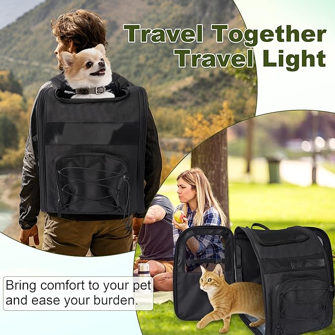 Dog Carrier Backpack for Small Dogs - Breathable Mesh Hiking Bag with Safety Buckle, Adjustable Straps and Elevated Pad - Durable for Hiking (Fits Small Cats Too, Up to 17lbs, Black)
