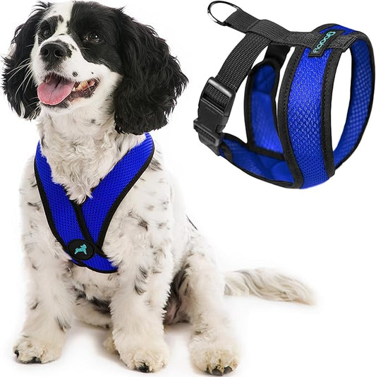 Gooby Comfort X Head in Harness - Blue, Large - No Pull Small Dog Harness, Patented Choke-Free X Frame - Perfect on The Go Dog Harness for Medium Dogs No Pull or Small Dogs for Indoor and Outdoor Use