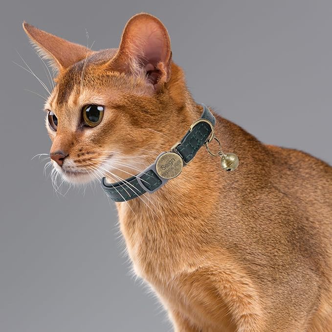 Cat Collar Breakaway, Personalized Leather Cat Collar with Bells-Adjustable Customized Collar with Name & Phone Number Tag for Girl Boy Cats -Quick Release Buckle for Cats & Kittens(Green)