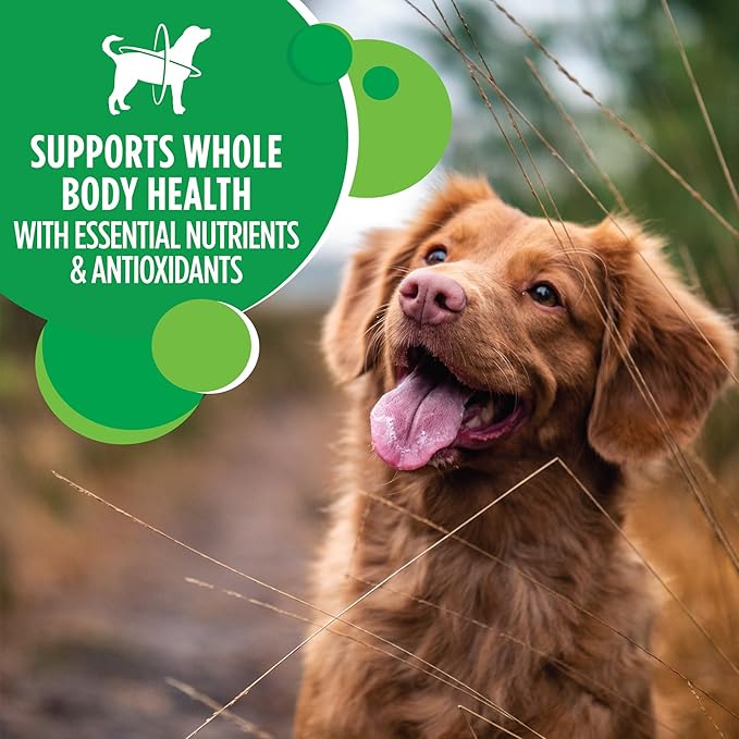 IAMS Proactive Health Minichunks Adult Dry Dog Food with Real Chicken, 7 lb. Bag