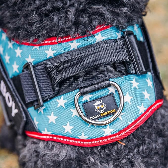 Personalized No-Pull Dog Harness with Name Patch, Adjustable, Reflective, Padded, Heavy Duty Pet Vest to Prevent Tugging, Pulling, or Choking, Training and Walking, Military Desert, XS