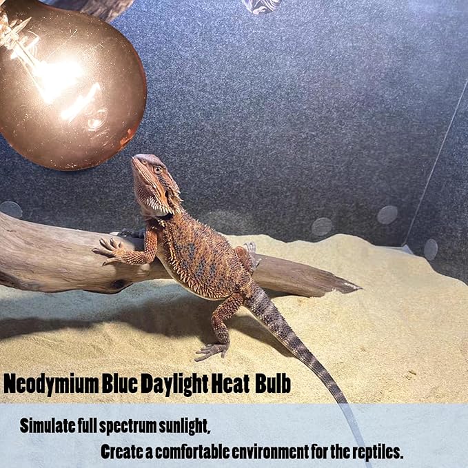 Reptile Heat Lamp Bulb 100 Watt, Full Spectrum Daylight Amphibians Basking Spot Light Bulb for Bearded Dragon, Gecko, Hermit Crabs, Lizard, Neodymium Blue Infrared Light Bulbs, E26 Base, 2 Pack