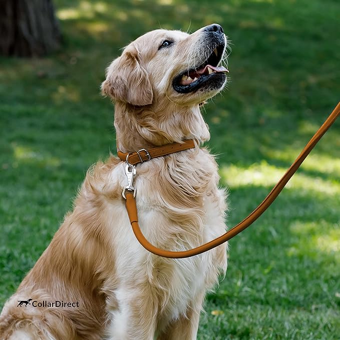 CollarDirect Rolled Leather Dog Collar, Soft Padded Round Puppy Collar, Handmade Genuine Leather Collar Dog Small Large Cat Collars 13 Colors (11-14 Inch, Cinnamon Textured)