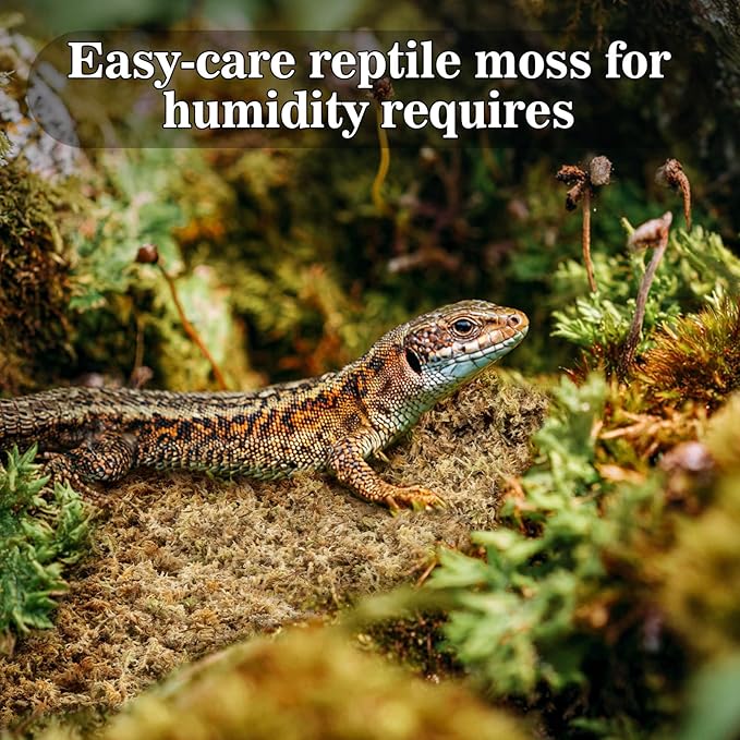 Sukh Sphagnum Moss for Reptiles - 3.5 OZ Reptile Peat Moss for Terrarium Bedding Reptiles Substrate for Reptile Tank, Snake, Leopard Gecko, Ball Python, Crested Gecko, Turtle, Frog, Hamster