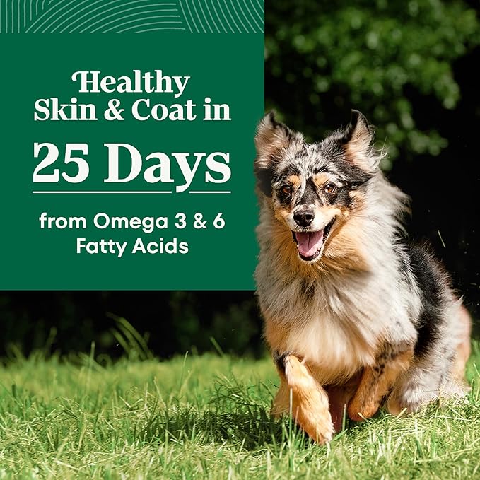 Nutro Natural Choice Lamb & Brown Rice Adult Dry Dog Food Recipe, 30 lb. Bag