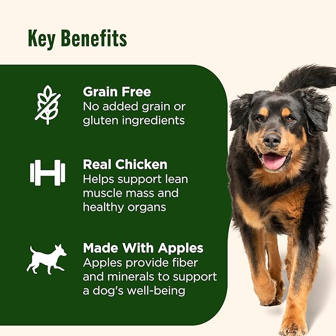 Nutrish Grain Free Real Chicken & Apple Recipe Premium Paté Wet Dog Food, 13 oz. Can, 12 Count, Packaging May Vary (Rachael Ray)