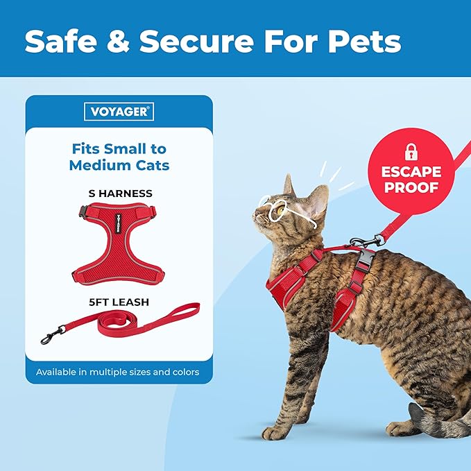 Voyager Escape Proof Cat Harness and Leash Set with Reflective Stitching, Neoprene Handle 5ft - Supports Small, Medium and Large Cats, Kittens for Walking by Best Pet Supplies - Red, S