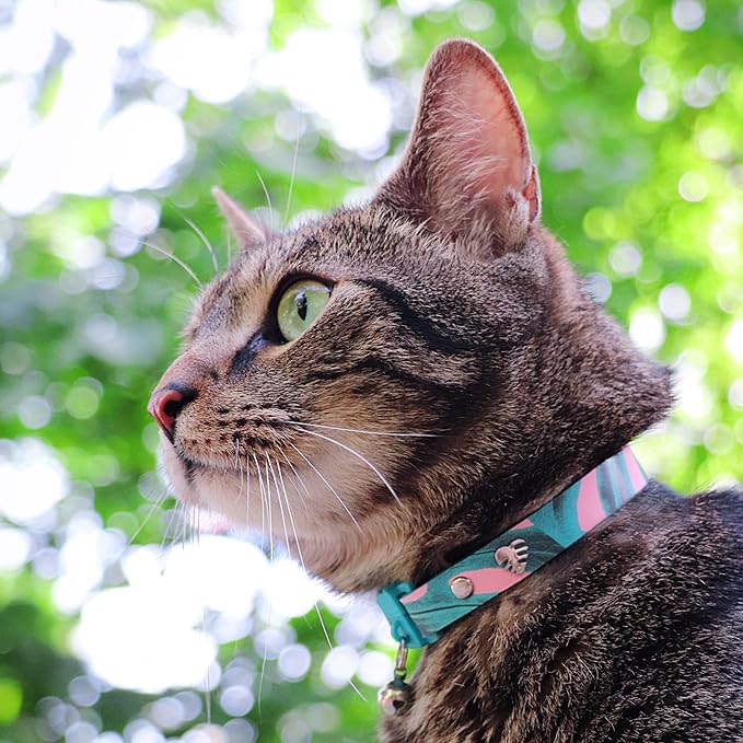 Kittyrama Botanicals Monstera Kitten Collar. Award Winning. Hypoallergenic, Quick Release Breakaway, Comfy & Soft. Vet Approved. Other Styles Available