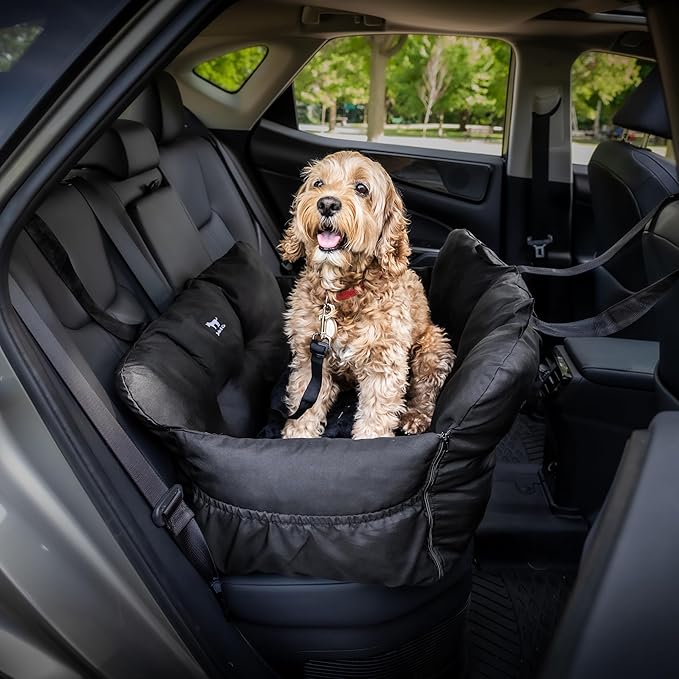 JACKO & CO - Premium Dog Car Seat v2 Booster Seat for Small & Medium Pets Under 40lbs - Machine Washable w Removable Covers, Water Resistant w Clip-On Leash for Back Seat Use (Black/Medium (20-40lbs)