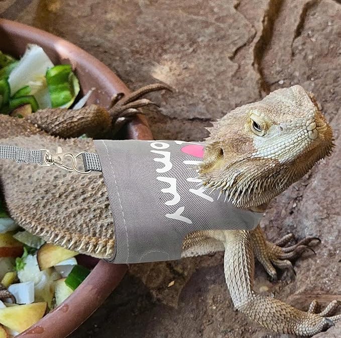 Bearded Dragon Harness and Leash Set - Adjustable Reptile Harness with Cute Design for Small Animals | Comfortable Outdoor Walking Gear for Lizards